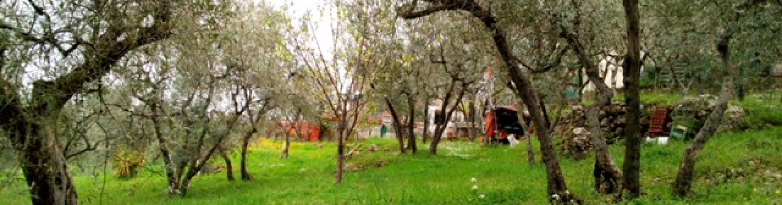 SCANDRIGLIA,2 Bedrooms Bedrooms,2 BathroomsBathrooms,Villa,SCANDRIGLIA,1026