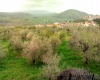 SCANDRIGLIA,2 Bedrooms Bedrooms,2 BathroomsBathrooms,Villa,SCANDRIGLIA,1026