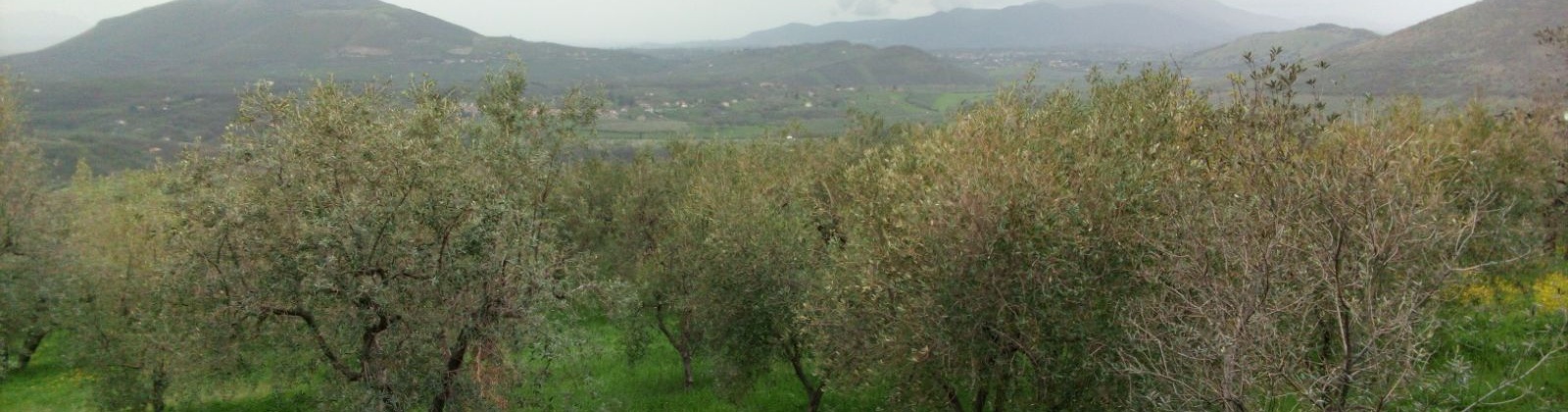 SCANDRIGLIA,2 Bedrooms Bedrooms,2 BathroomsBathrooms,Villa,SCANDRIGLIA,1026