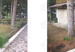 VIA GINEVRA, 2 Bedrooms Bedrooms, ,1 BagnoBathrooms,Villa,In Vendita,VIA GINEVRA,1034